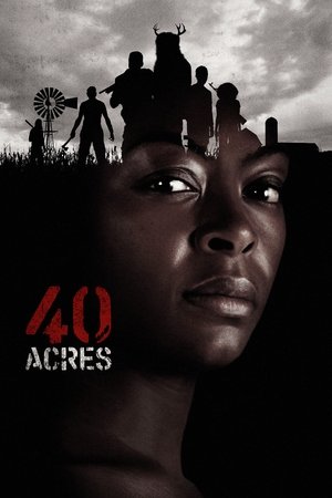 Poster 40 Acres