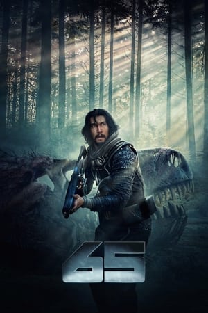 Poster 65