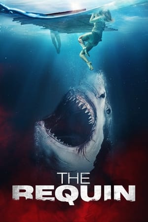 Poster The Requin